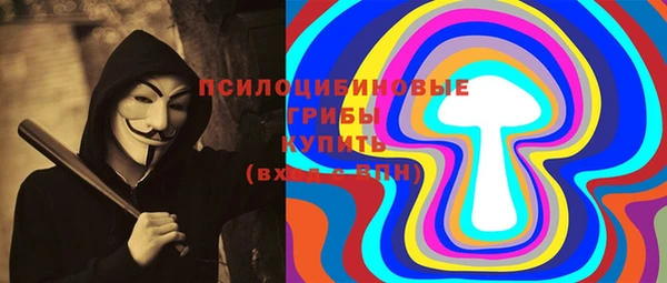 гидра Мегион
