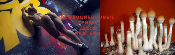 прущая мука Медногорск