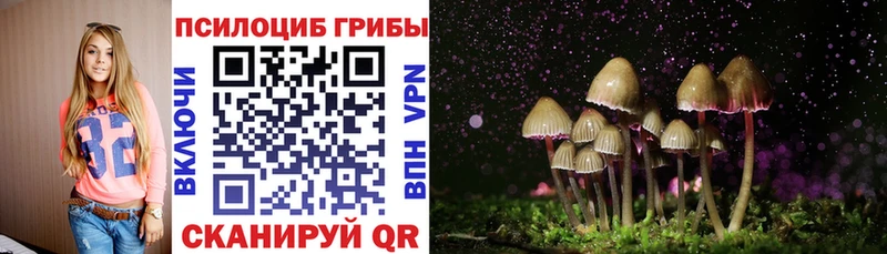 кракен рабочий сайт  Ясный  Галлюциногенные грибы GOLDEN TEACHER 
